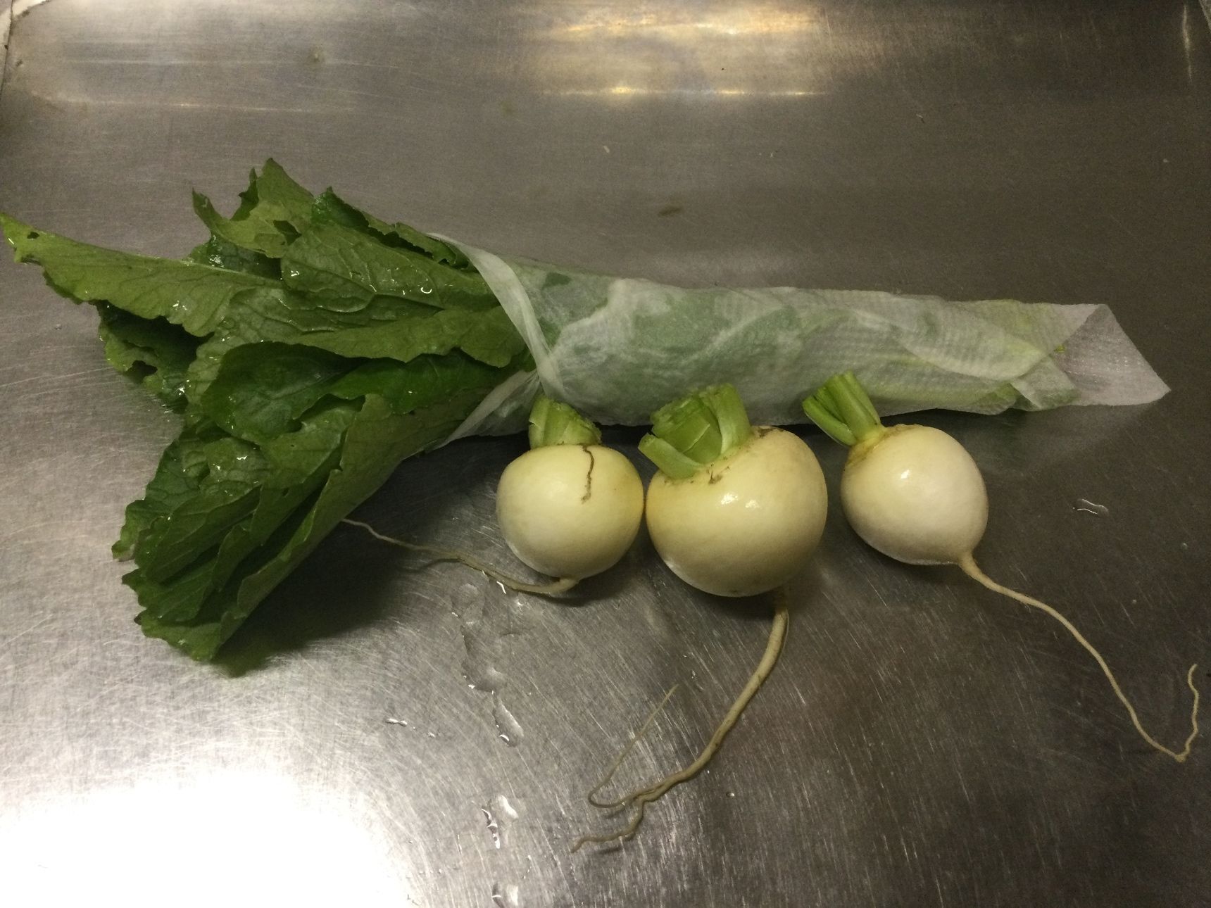 カブの保管をしたよ！