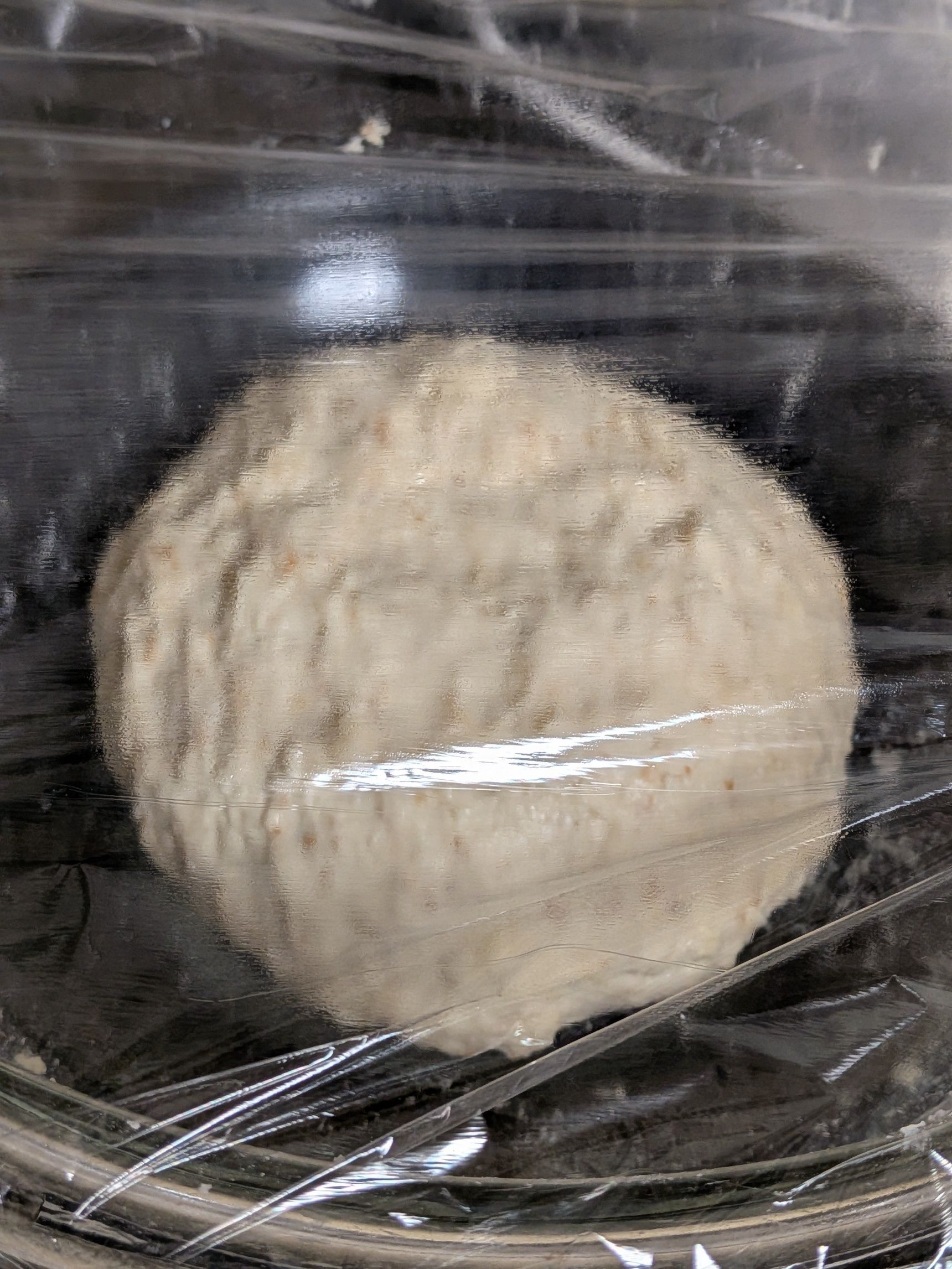 4、ひとかたまりになったらラップをかけ、2倍の大きさになるまで待つ。