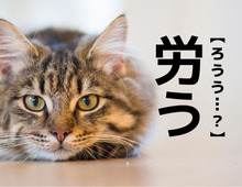 【労う】なんて読む？「ろうう」ではありませんよ！【読めそうで読めない漢字クイズ】