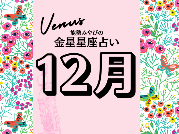 【能勢みやびの金星占い】12月の運勢は?〈2025年〉