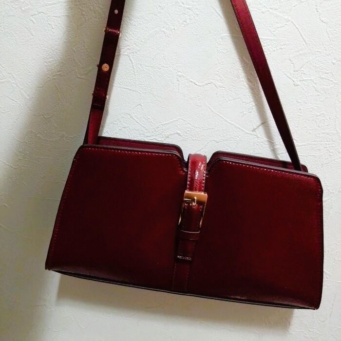 ツヤが高見え！プチプラバッグ