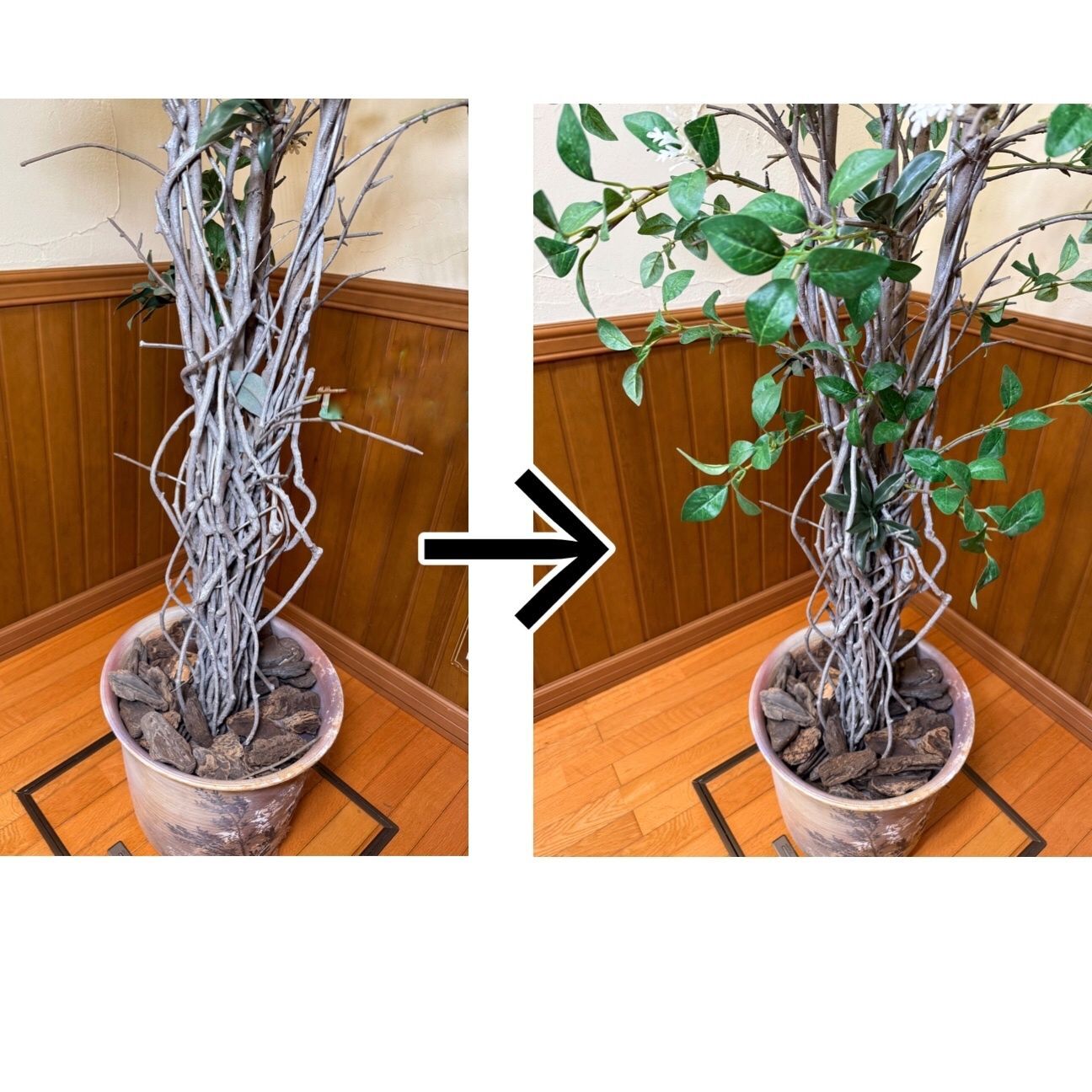 こんなにゴージャスに復活しました！