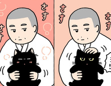 ねこって…あったかい。【てらねこミー子の日常】
