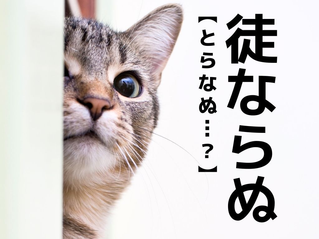 【徒ならぬ】なんて読む？「とならぬ」ではありませんよ！【読めそうで読めない漢字クイズ】