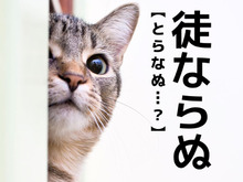 【徒ならぬ】なんて読む？「とならぬ」ではありませんよ！【読めそうで読めない漢字クイズ】