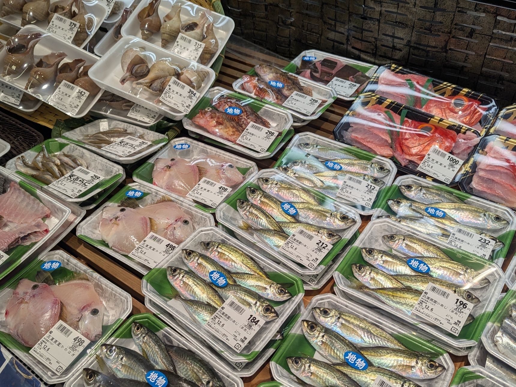 地域での天然魚探しへ