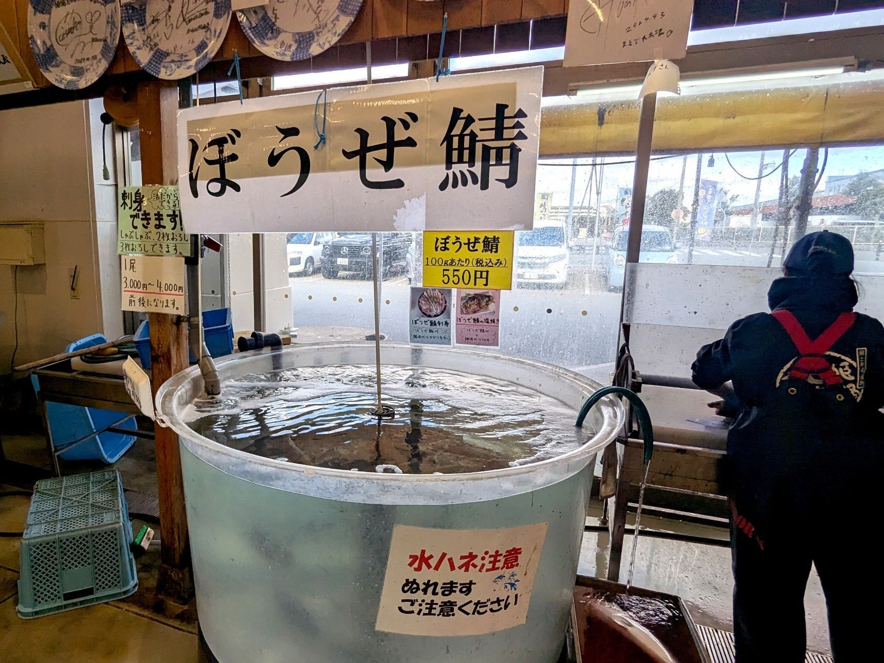 今回の天然魚クエストを通して