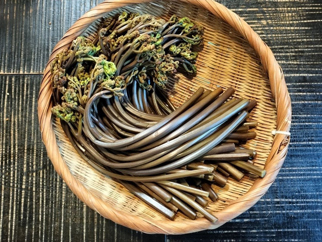 冷凍わらびのきんぴら！水っぽくならず、生より食感が良くなる！？牡蠣ご飯の箸休めに！