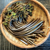 冷凍わらびのきんぴら！水っぽくならず、生より食感が良くなる！？牡蠣ご飯の箸休めに！