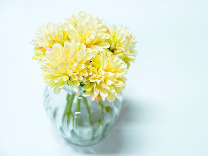 12月11日(火)今日は頭も判断もスッキリ冴えわたるチャンスの日!決断するといいコトがありますよ♪