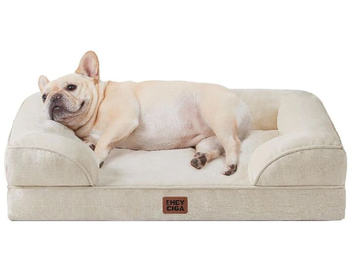 冬用あったか〈ペット用品〉を「Amazonタイムセール」でそろえよう!【最大38%OFF】