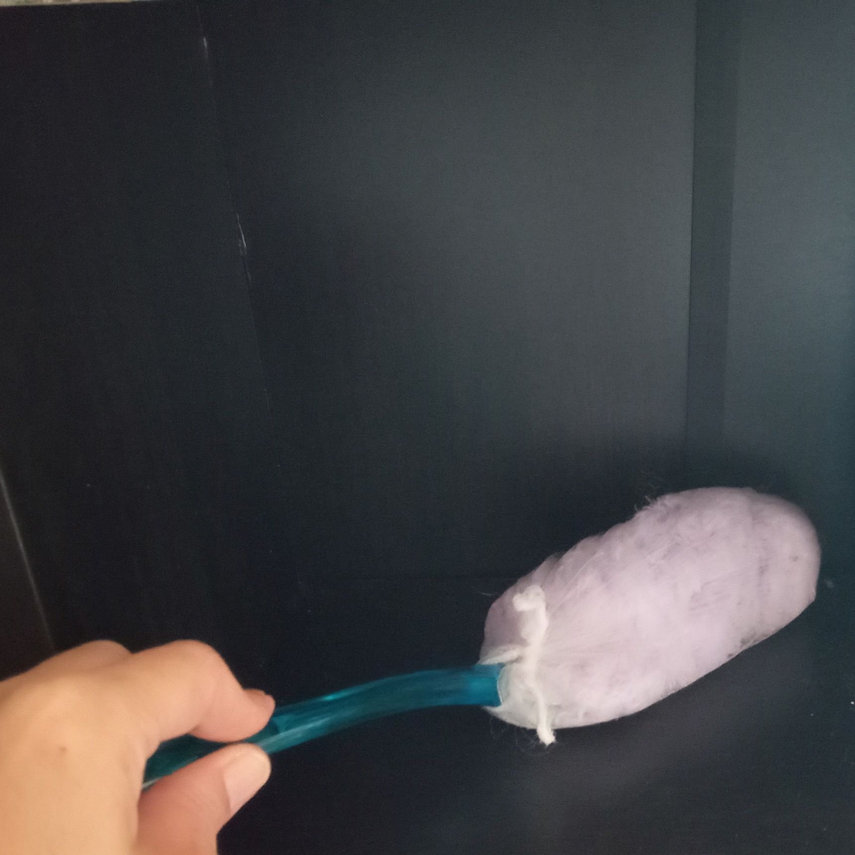 ホコリをサクッと取ったら