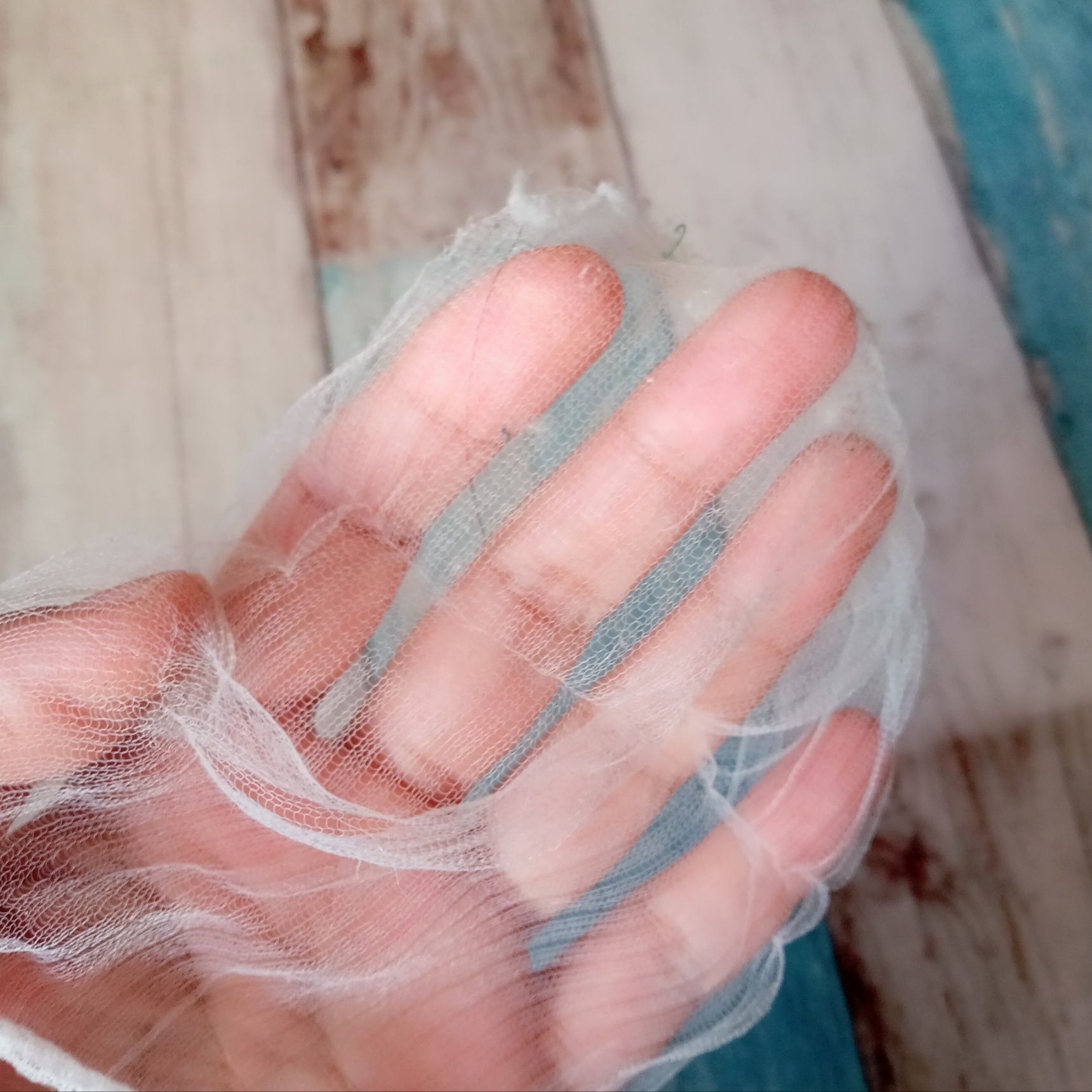 大掃除が済んだので、少ないホコリしか取れませんでしたが