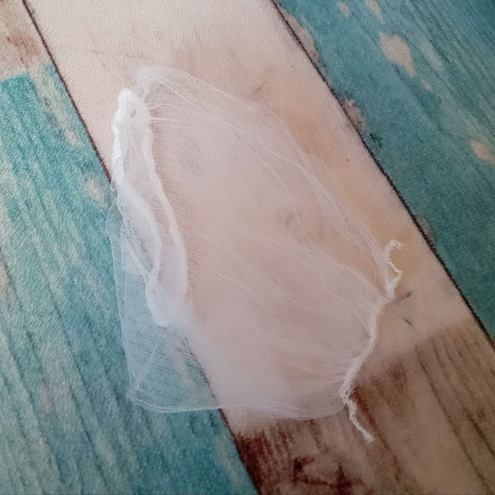 使うのはコレ。ゴミネット