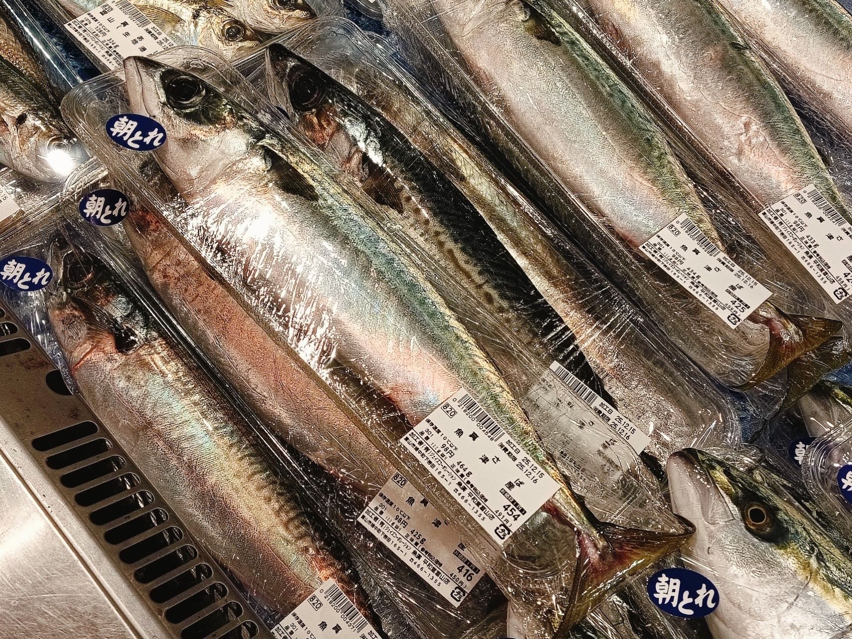 スーパーでも見つかる！天然魚の魅力と美味しく食べるコツを紹介
