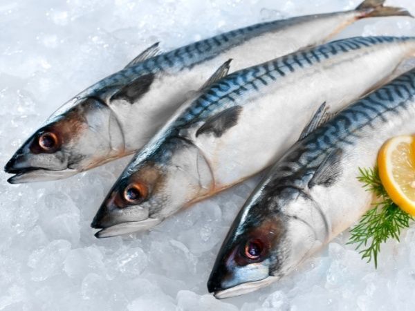 1. 天然魚とは？