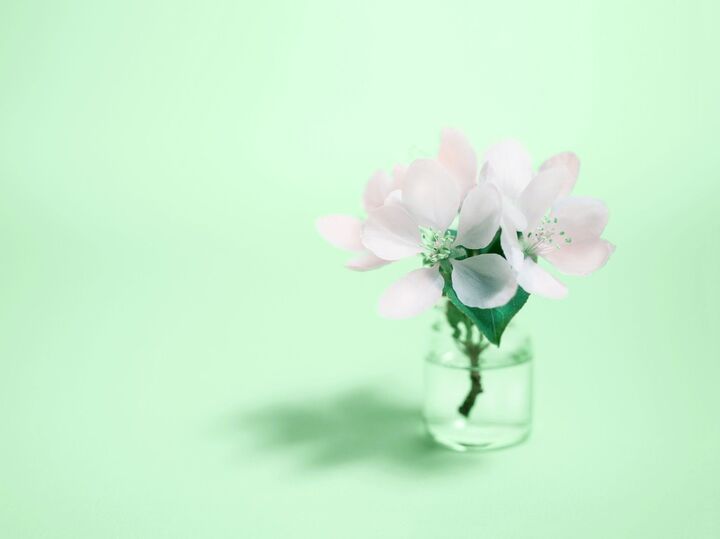 12月17日(水)今日はよい結果を得られるチャンス日!ゼッタイやってほしいのはコレ♪