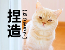 【捏造】は「ねつぞう」ではない！？本来の読み方知ってる？【読めそうで読めない漢字クイズ】