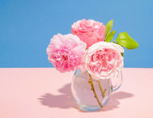 12月21日（日）今日は12月最大の幸運日！とくに午前中にやるといいコトは？