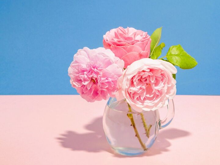 12月21日(日)今日は12月最大の幸運日!とくに午前中にやるといいコトは?