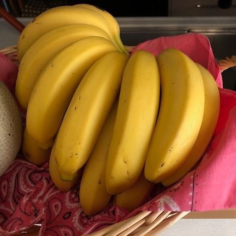 「まるごと」ではありません