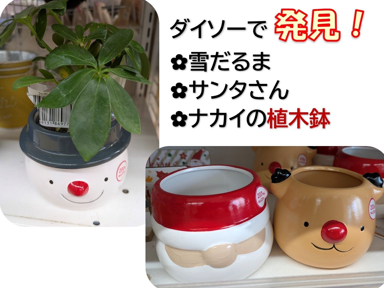 ダイソーにてカワイイ植木鉢発見！