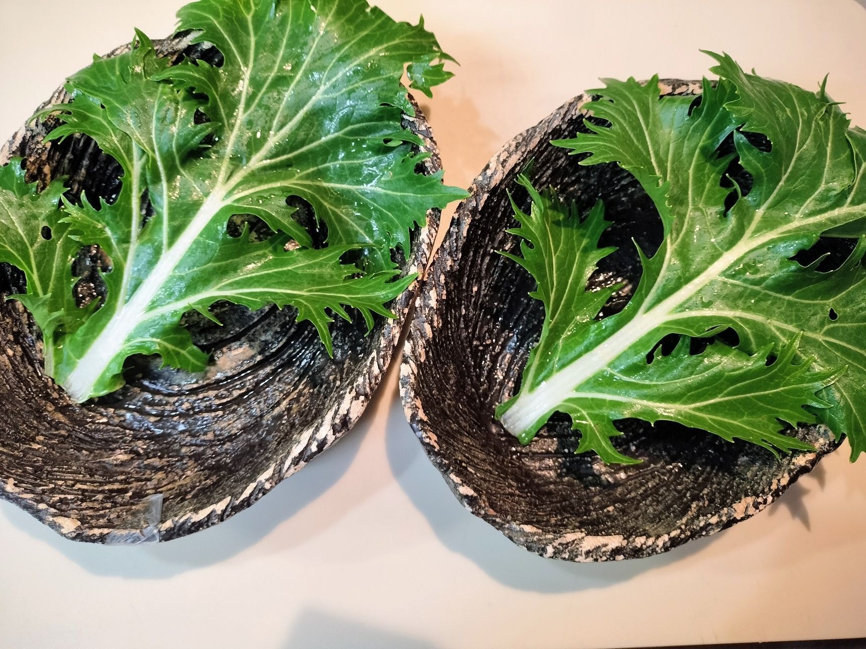 1、器に、京菜の葉を敷く