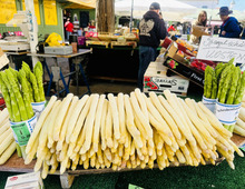 ドイツの春の料理といえばシュパーゲル！旅人・低橋さんが楽しむ旬の食材とローカルフード【世界思い出旅ごはん おかわり】