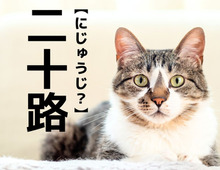 【三十路】は「みそじ」。では【二十路】はなんと読む？【読めそうで読めない漢字クイズ】
