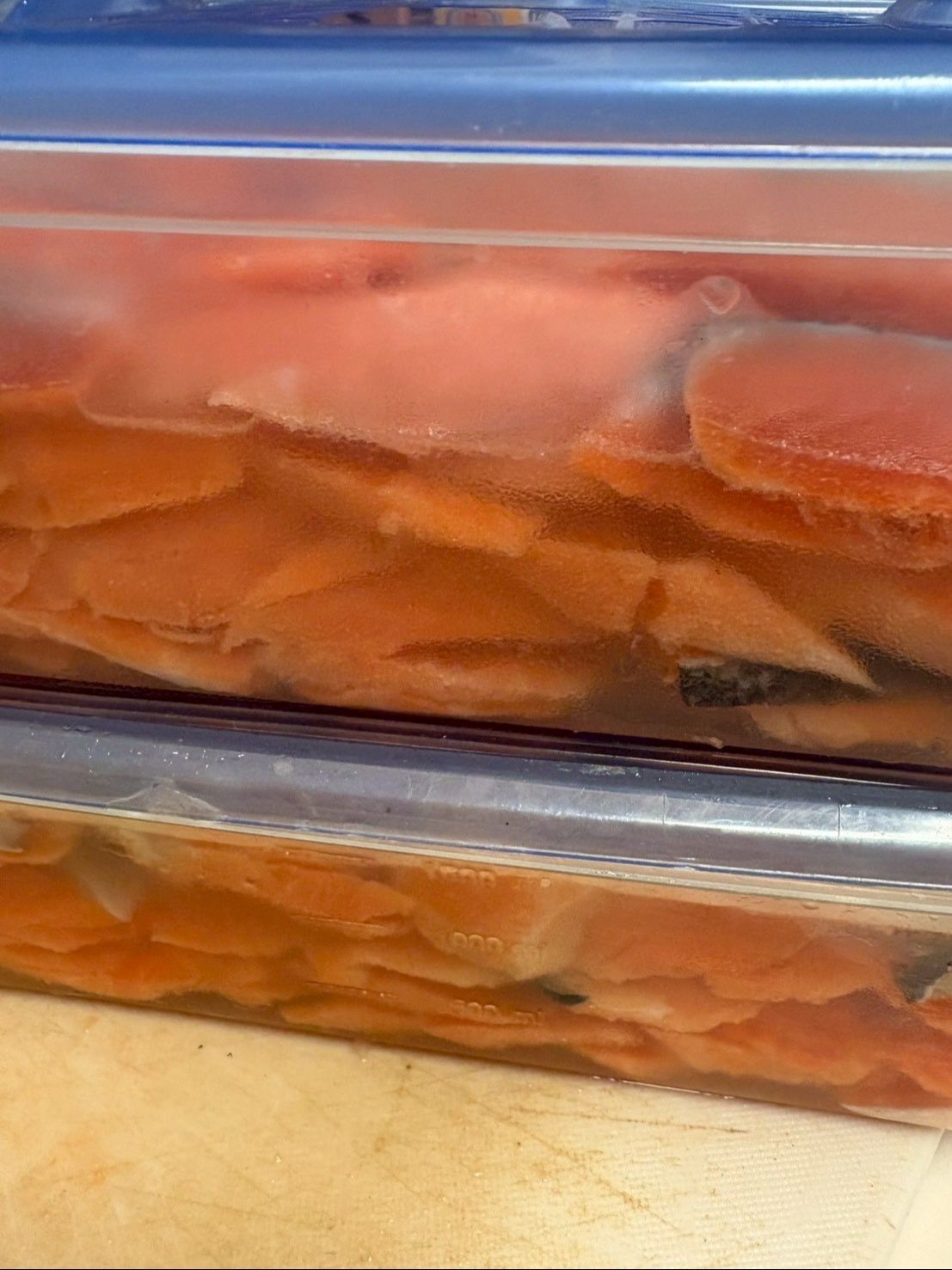 この状態で最低でも一晩は漬け込んでください。