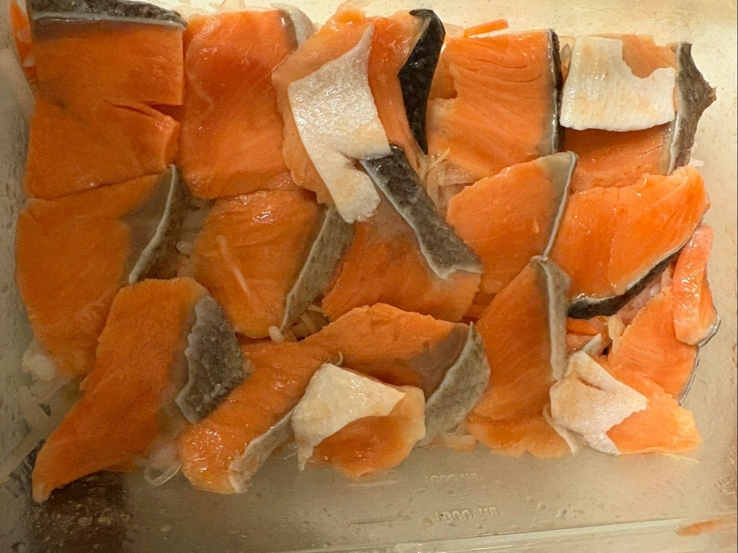 その上に鮭を並べて、またご飯を乗せて上まで繰り返します。