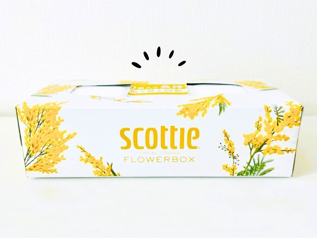 究極の節約テク！？ティッシュボックスは「両方から使う」。こうすれば家じゅうで使えます♪