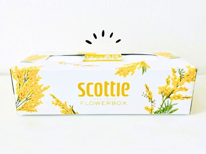 究極の節約テク!?ティッシュボックスは「両方から使う」。こうすれば家じゅうで使えます♪