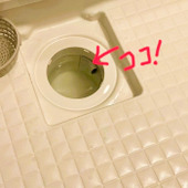 お風呂の大掃除はココも忘れずに！