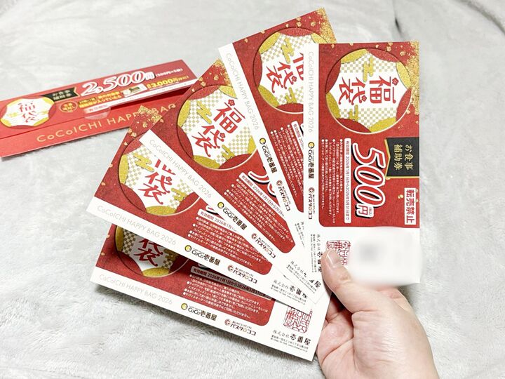 【ココイチ福袋2026】今年は“金券ガチャ”導入でドキドキが止まらない♡「実質無料」でカレーもバッグもついてくる!?