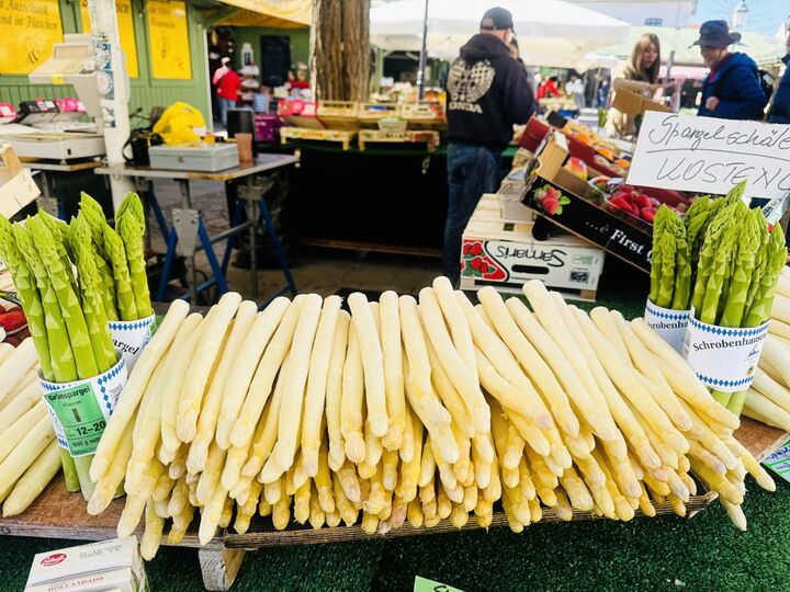 ドイツの春の料理といえばシュパーゲル!旅人・低橋さんが楽しむ旬の食材とローカルフード【世界思い出旅ごはん おかわり】