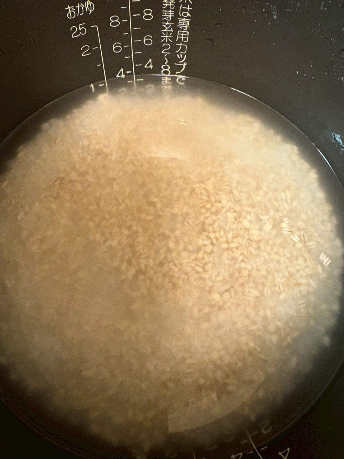 でも…私は水を足さずにそのまま炊きました！