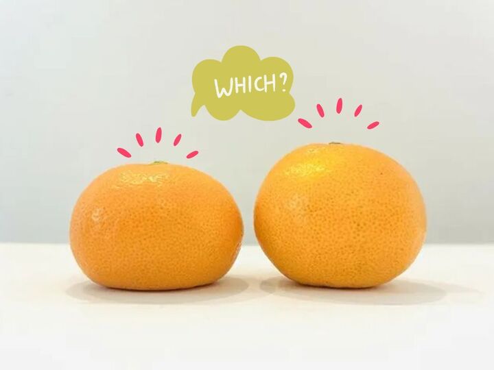 「丸い」みかんと「平たい」みかん、甘くて美味しいのはどっち?意外と知らないみかんの選び方