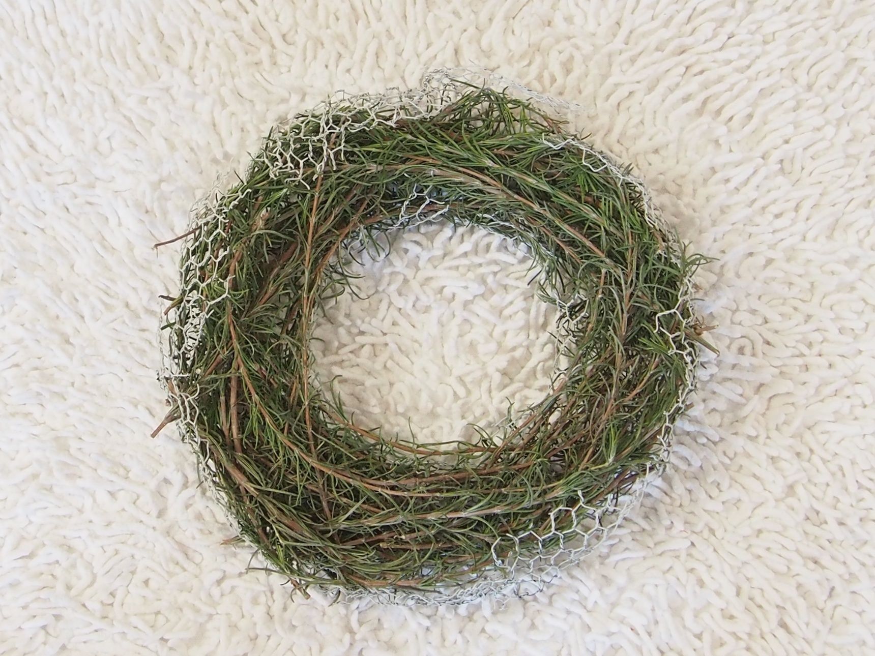 ドライになってしまったローズマリーリースです