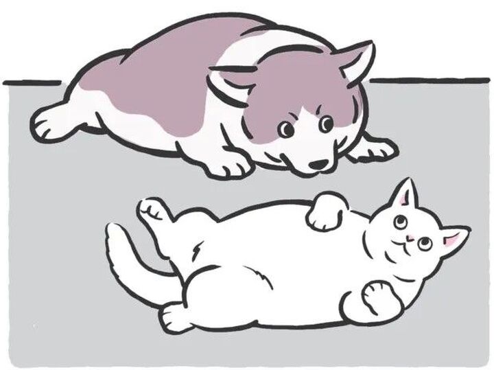 ペットにも「正月太り」は存在する?お散歩していても意味はない!?