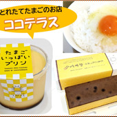 ココテラスの無添加の商品たち