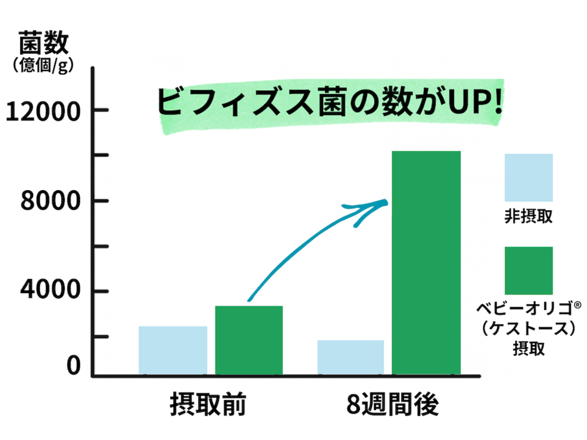 圧倒的！手軽にビフィズス菌の数をアップさせるにはコレがおすすめ♪