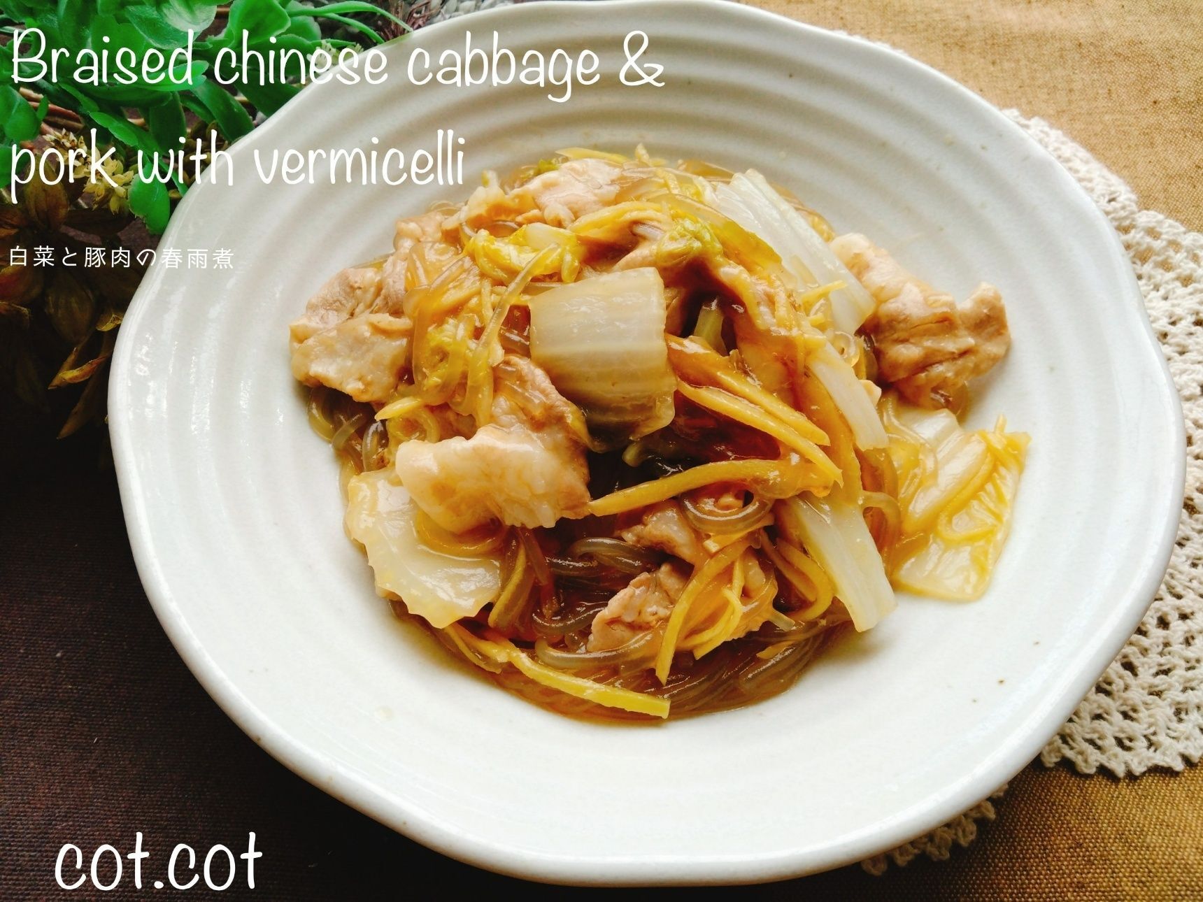 材料入れて煮込むだけ！白菜と豚肉の春雨煮