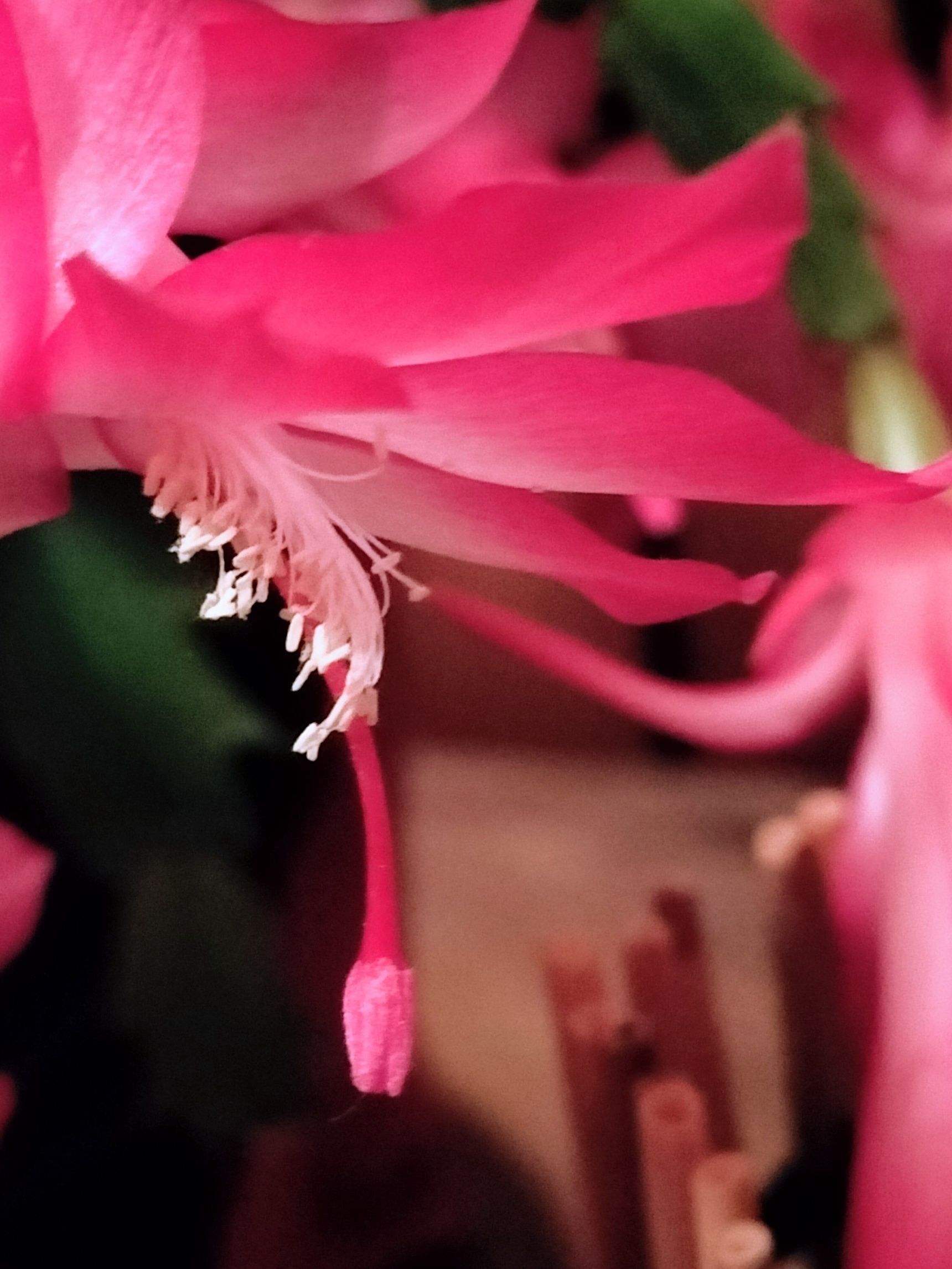 簡単！玄関のボロ隠し！美味しい干し大根のぬか漬けが入った漬物樽！