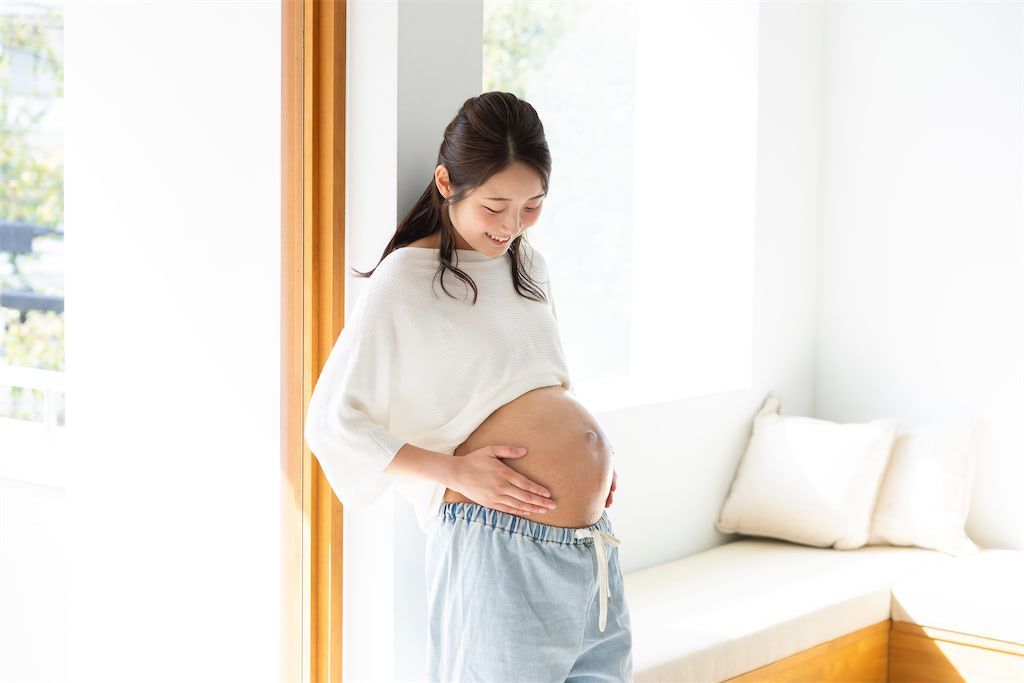 貝印株式会社：miness bi-hada ompa Lホルダー替刃2個付 ディズニー