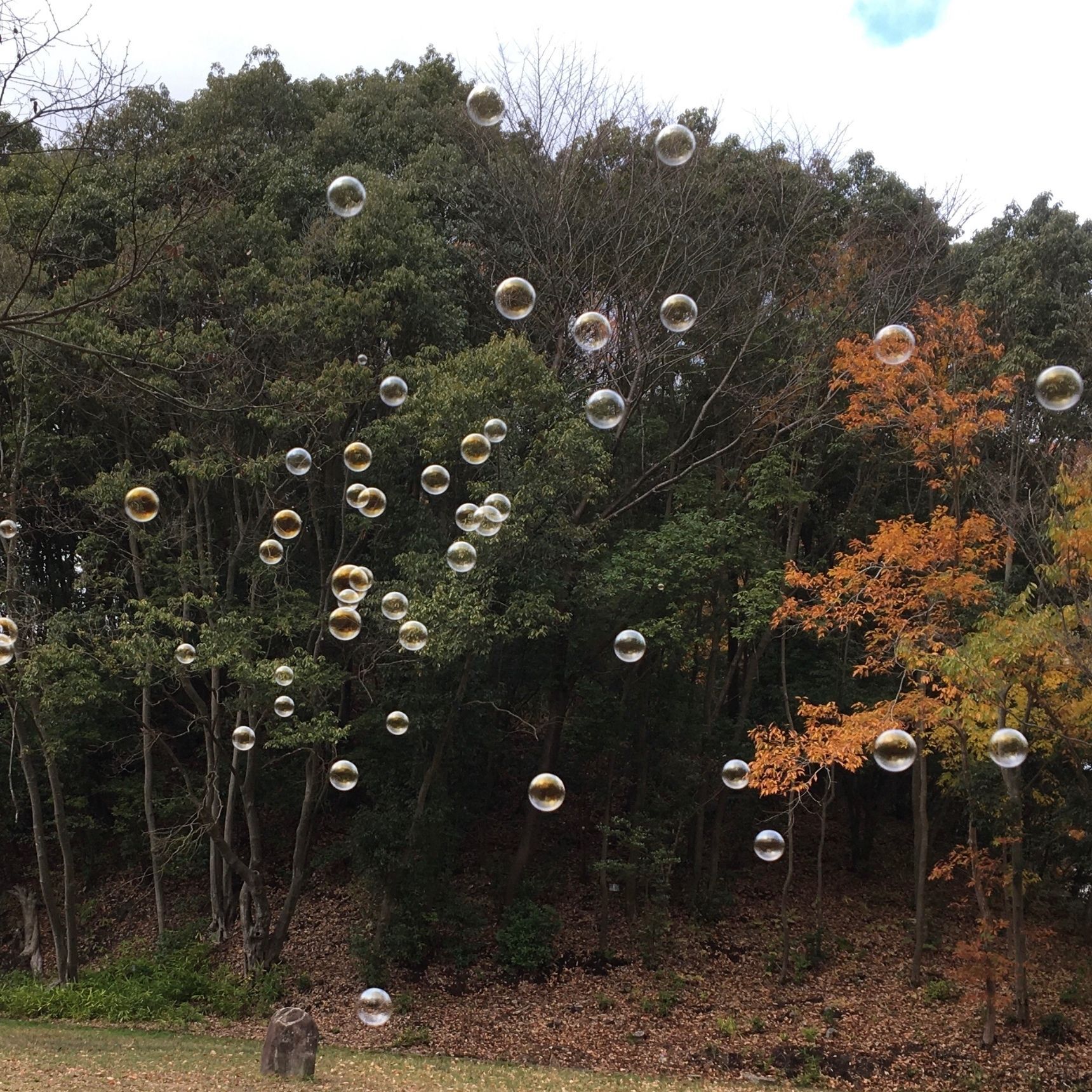お買い物前の10分間に！シャボン玉でリフレッシュ〜
