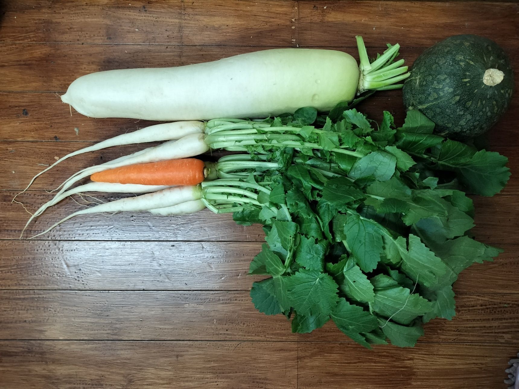 1、おろ抜き大根を根と葉に切り分ける