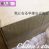 【楽天購入品】価格バグ！？想像以上に破格値だった福袋