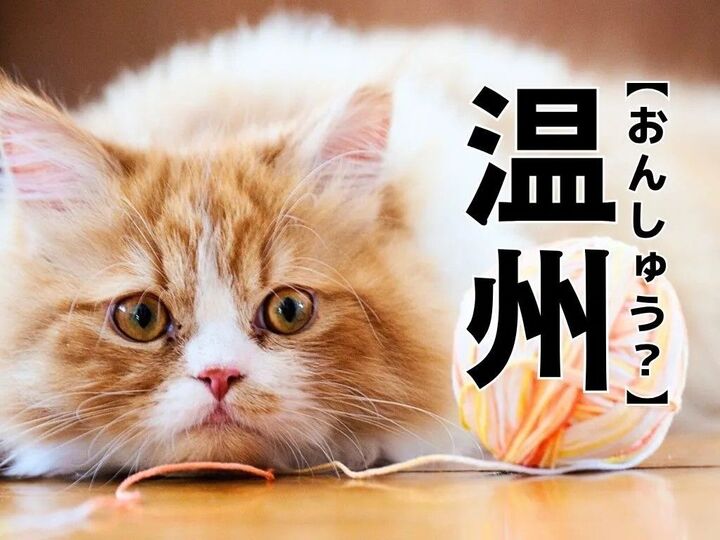 【温州】なんて読む?「おんしゅう」ではありませんよ!【読めそうで読めない漢字クイズ】