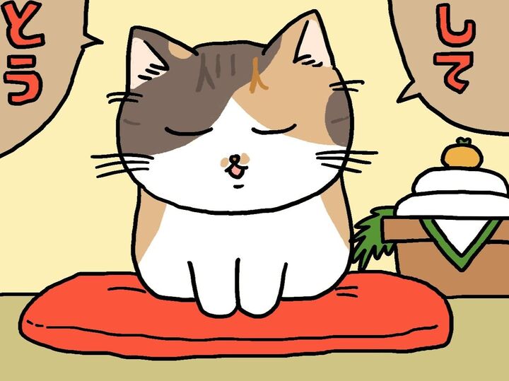 ミー子からごあいさつ。2026ver.【てらねこミー子の日常】